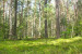Pogostite.ru - «Брянский лес» стал доступен с воздуха