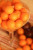 Pogostite.ru - Международная выставка решений для плодово-ягодного бизнеса FRUIT TRADE 2025.