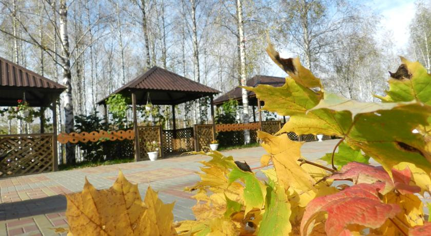 Березовая роща беседки. Роща невест Курск. Роща невест Курск свадьба. Роща невест Берёзовая роща Курск. Соловьиная роща Курск беседки.