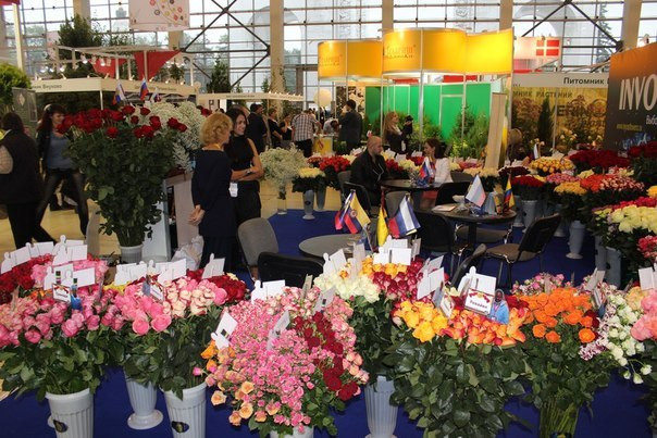 Вднх Магазин Цветов