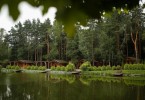 Pogostite.ru - АРТИЛЕНД (ARTILAND) #66