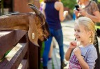 Pogostite.ru - АРТИЛЕНД (ARTILAND) #63