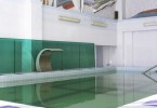 Pogostite.ru - DEVON MEDICAL & SPA (ДЭВОН МЕДИКАЛ & СПА (футбольное поле с подогревом)) #9