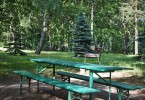 Pogostite.ru - DEVON MEDICAL & SPA (ДЭВОН МЕДИКАЛ & СПА (футбольное поле с подогревом)) #30