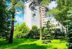 Pogostite.ru - DEVON MEDICAL & SPA (ДЭВОН МЕДИКАЛ & СПА (футбольное поле с подогревом)) #1