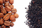 Pogostite.ru - «Russian coffee and tea industry event – 2016» в КВЦ «Сокольники»