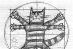 Pogostite.ru - Международная выставка Кошек «FELINA BELISSIMA-8»