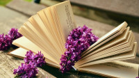 Pogostite.ru - ММКВЯ 2018 – выставка книг для настоящих интеллигентов, поклонников классики и современной литературы