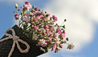 Pogostite.ru - Фестиваль «Moscow Flower Show 2019» пройдет 10-21 июля в Парке искусства «Музеон»