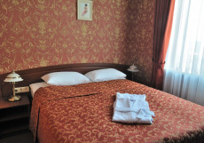 Парк-отель Замковый (Park hotel Zamkovy) Люкс дабл