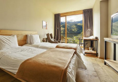 Rooms Hotel Kazbegi | Румс Готель | Казбеги | река Терек | конференц-зал | Стандартный двухместный номер с 2 отдельными кроватями и видом на лес