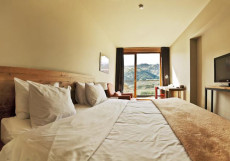 Rooms Hotel Kazbegi | Румс Готель | Казбеги | река Терек | конференц-зал | Стандартный номер с кроватью размера «king-size» и видом на лес