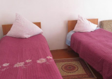Иссык-Куль-Каракол | Каракол | р. Каракол | Сауна | Стандартный двухместный номер с 2 отдельными кроватями