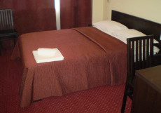 Отель Планета Spa (сауна, баня) Двухместный номер Superior двуспальная кровать