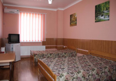 Фортуна - Fortuna | Будённовск | С завтраком Делюкс двухместный (1 двуспальная или 2 односпальные кровати)