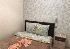 Отель Часы Лескова с Джакузи (Бибирево - Алтуфьево) Стандартный двухместный номер с 1 кроватью