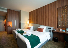 Mercure Saransk Centr  Стандартный двухместный номер с 2 отдельными кроватями