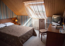 Отель Атланта Шереметьево (бесплатный трансфер) Двухместный полулюкс Сэнди двуспальная кровать