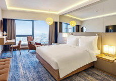 Рэдиссон Блу Олимпийский - Radisson Blu Olympiyskiy Hotel Standard City View Double room двуспальная кровать