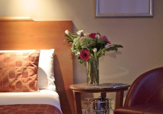 Park Plaza Victoria London Представительский номер-студио (3 взрослых)