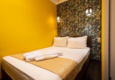 Отель Сова Ленинский Двухместный номер Standard двуспальная кровать