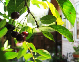 Гостевой дом Семейный Досуг