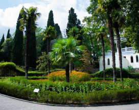 Санаторий Пушкино