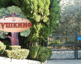 Санаторий Пушкино