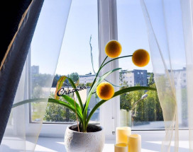 Брусника - The Brusnika