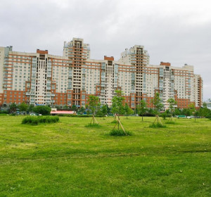  Просвещения | СПБ | м. Проспект Просвещения | Парковка