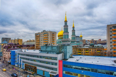 Pogostite.ru - Sunflower Avenue Moscow #4