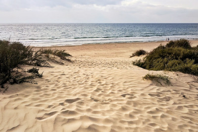 Pogostite.ru - Соловей Пансионат (cобственный песочный пляж | детская площадка) #23