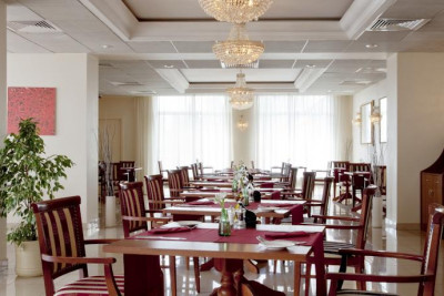 Pogostite.ru - Cosmos Moscow Sheremetyevo Airport Hotel, a member of Radisson Individuals | Космос Москва Шереметьево Аэропорт Отель #16
