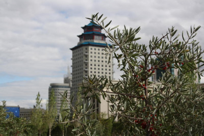 Pogostite.ru - Пекин Палас Soluxe Hotel Astana | Астана | Парковка #2