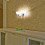 Апартаменты с кухней / Apartment
