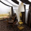 Главный корпус: Business Luxe