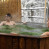 Pogostite.ru - ЛЕСНОЙ ПАРК-ОТЕЛЬ (LESNOY PARK HOTEL) #22