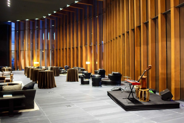 Pogostite.ru - КОНЦЕРТНЫЙ ЗАЛ БАРВИХА LUXURY VILLAGE #27