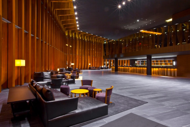 Pogostite.ru - КОНЦЕРТНЫЙ ЗАЛ БАРВИХА LUXURY VILLAGE #29