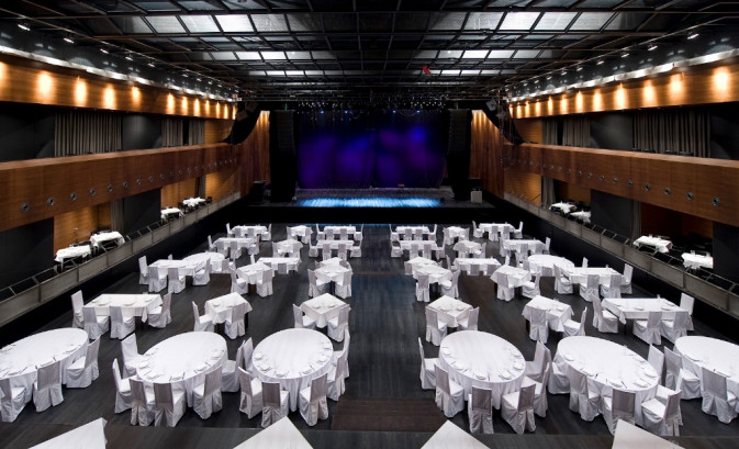 Pogostite.ru - КОНЦЕРТНЫЙ ЗАЛ БАРВИХА LUXURY VILLAGE #6