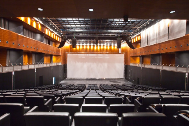 Pogostite.ru - КОНЦЕРТНЫЙ ЗАЛ БАРВИХА LUXURY VILLAGE #3