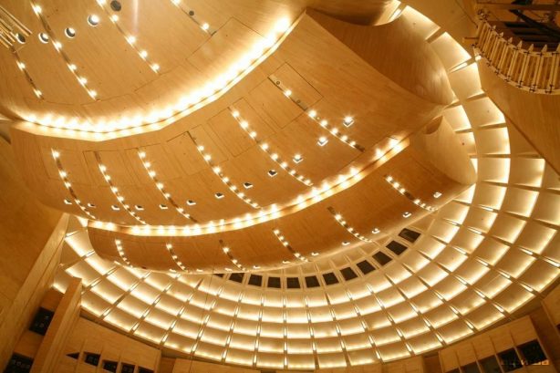 Pogostite.ru - МОСКОВСКИЙ МЕЖДУНАРОДНЫЙ ДОМ МУЗЫКИ #8