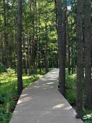 Pogostite.ru - БОР Omega Events #24