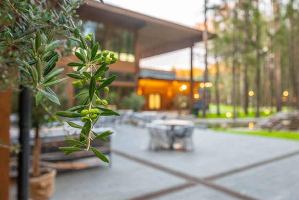 Pogostite.ru - БОР Omega Events #18