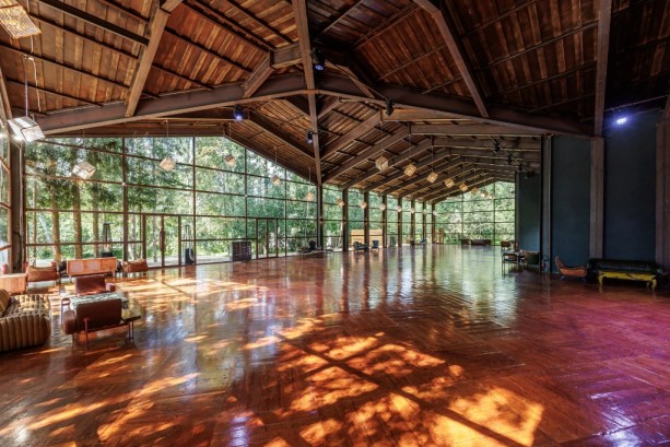 Pogostite.ru - THE BIRCH #4