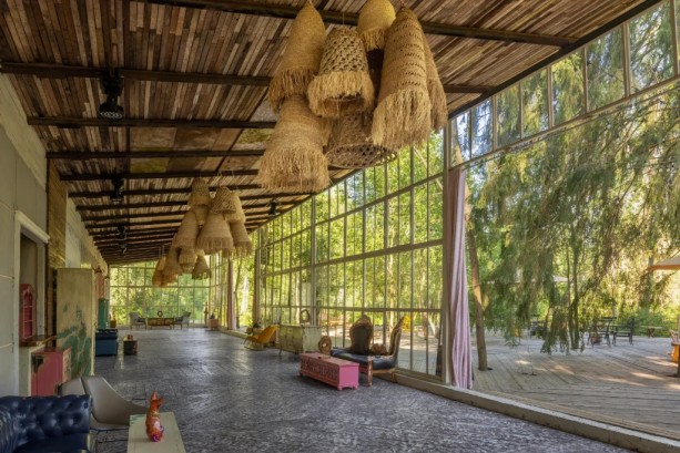 Pogostite.ru - THE BIRCH #12