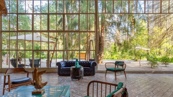 Pogostite.ru - THE BIRCH #14