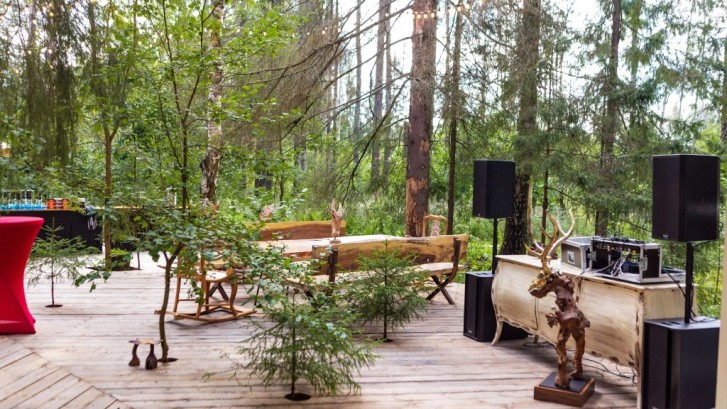 Pogostite.ru - THE BIRCH #52