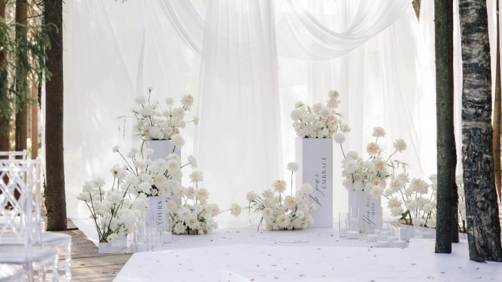 Pogostite.ru - THE BIRCH #61