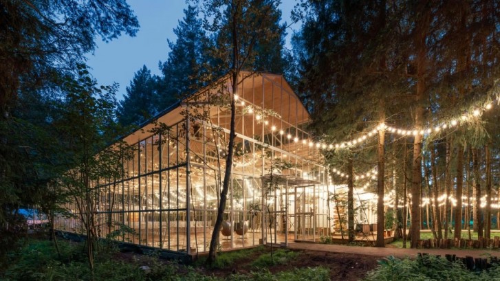 Pogostite.ru - THE BIRCH #66